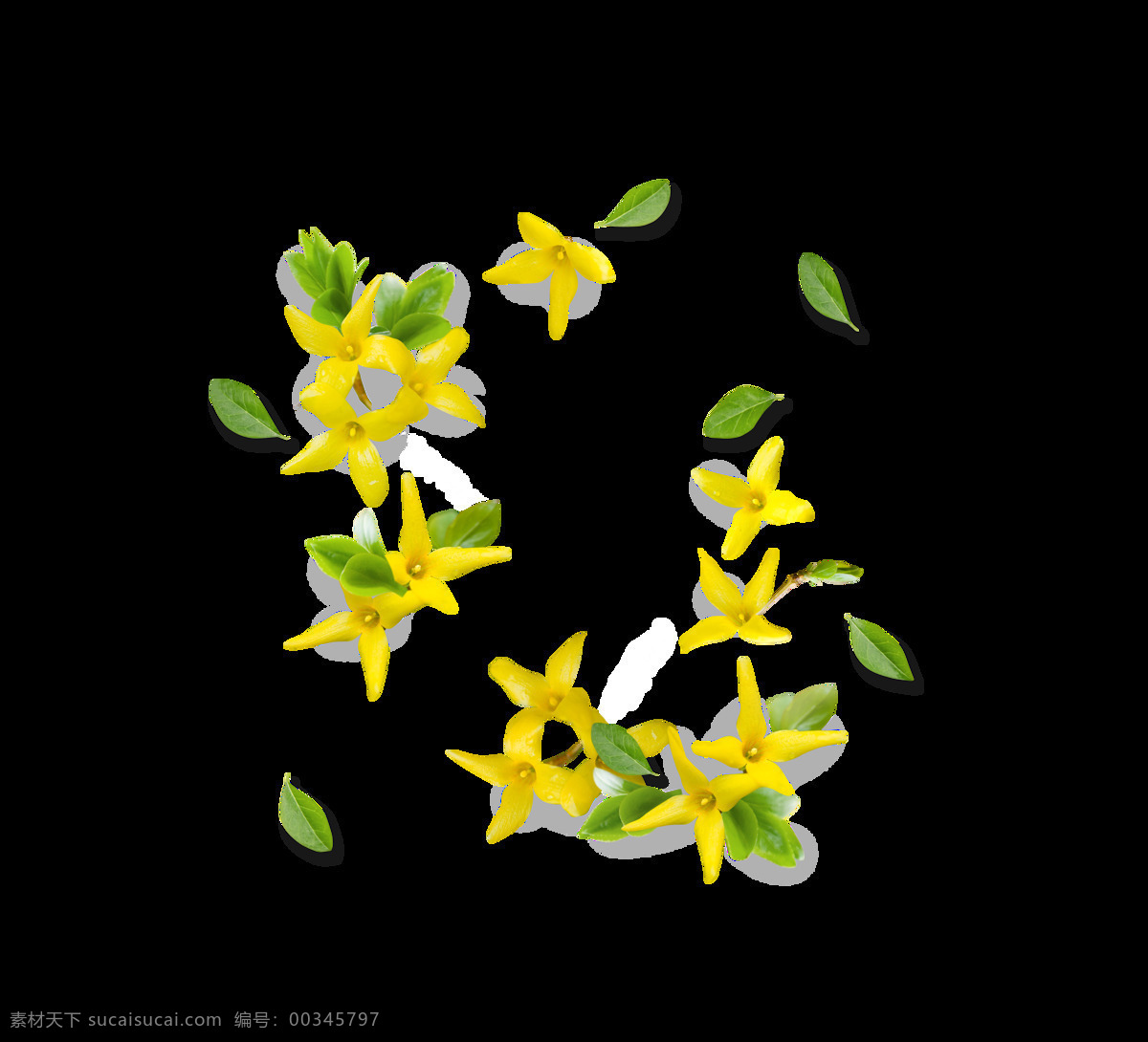 黄色 小 清新 花朵 装饰 小清新 叶子 春天 栀子花 白色