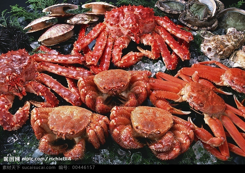 螃蟹 美味 餐饮美食 西餐美食 摄影图库