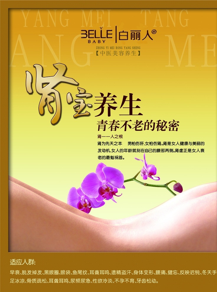 美容养颜 美容 养颜 女人 美女 美容院 养生 肌肤 肾宝 梅花 女人腰 身材 分层 源文件