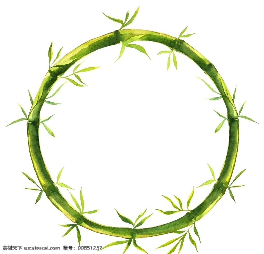 植物 竹子 装饰 图案 水彩 绘画 竹叶 竹林 花纹 边框 树叶 装饰图案