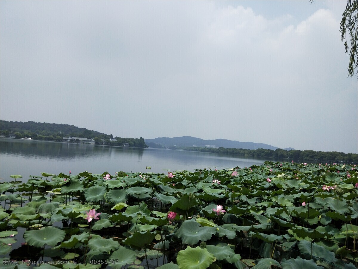 杭州西湖 旅游景区 西湖景点 名胜古迹 山水风光 旅游摄影