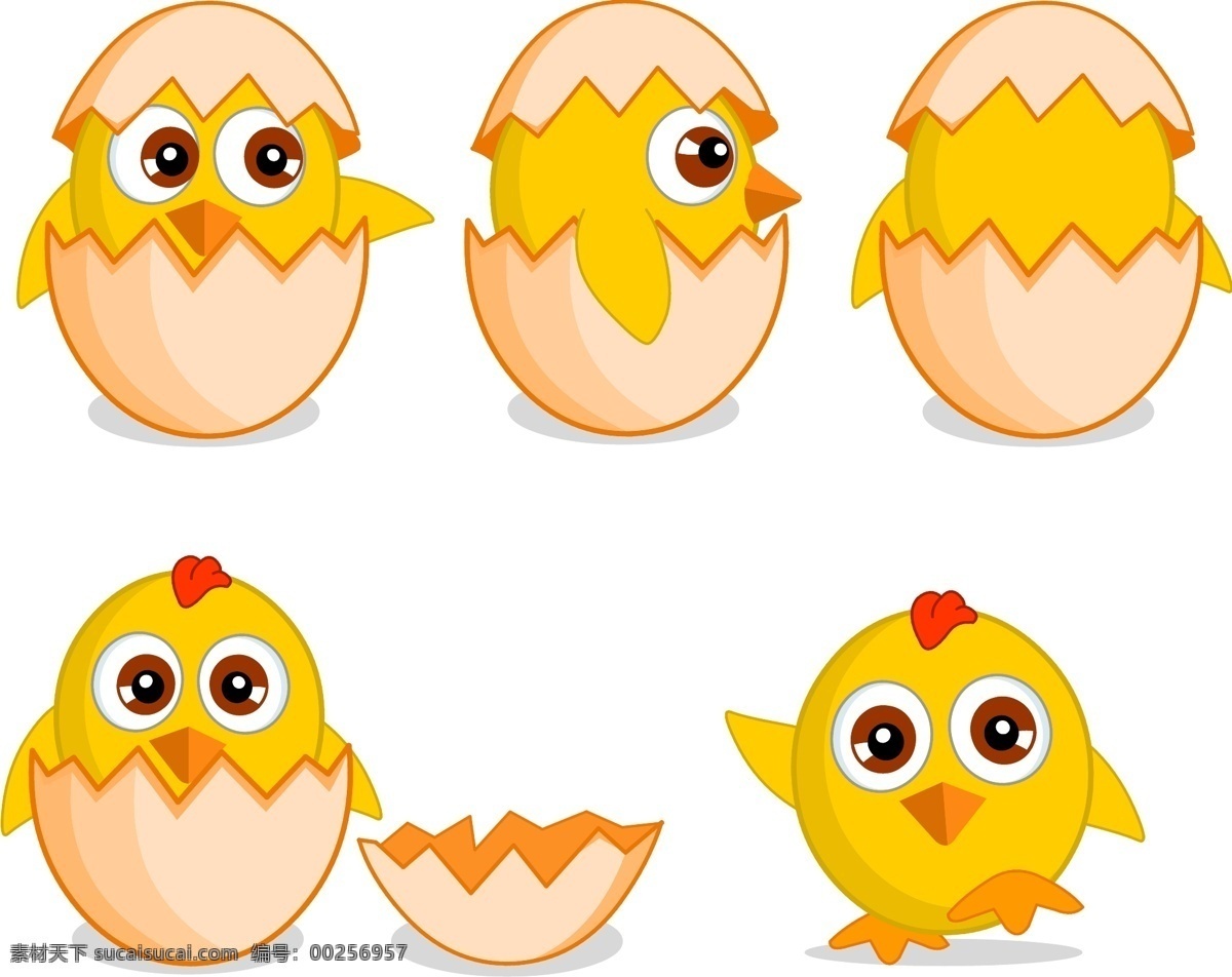 可爱 小鸡 矢量 造型 图 鸡蛋 出壳 黄色 小公鸡 卡通形象 吉祥物 萌 q版 家禽家畜 生物世界