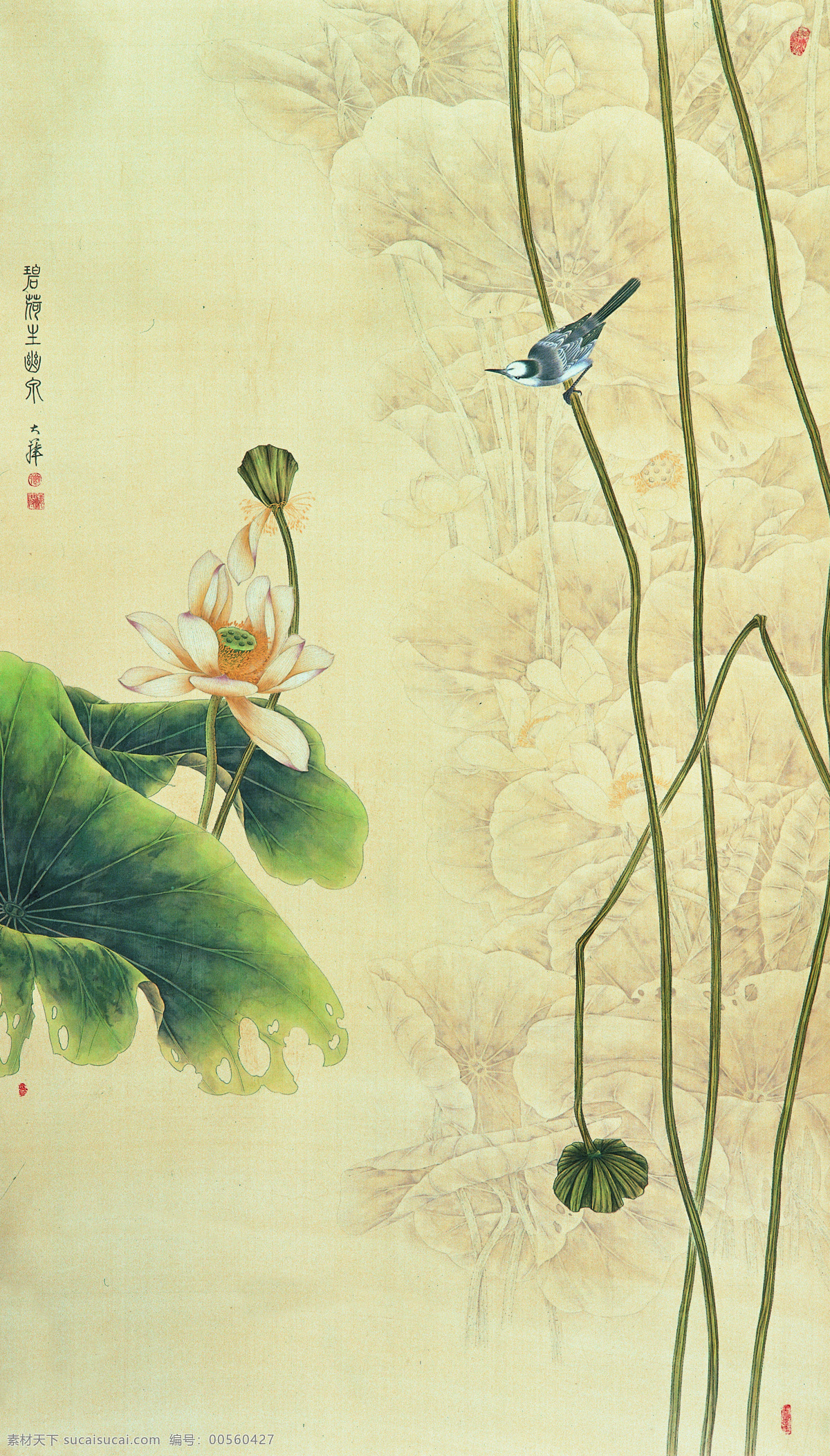 荷花小鸟 荷花 莲蓬 莲花 工笔花鸟 国画 工笔国画 工笔画 小鸟 花鸟画 文化艺术 绘画书法