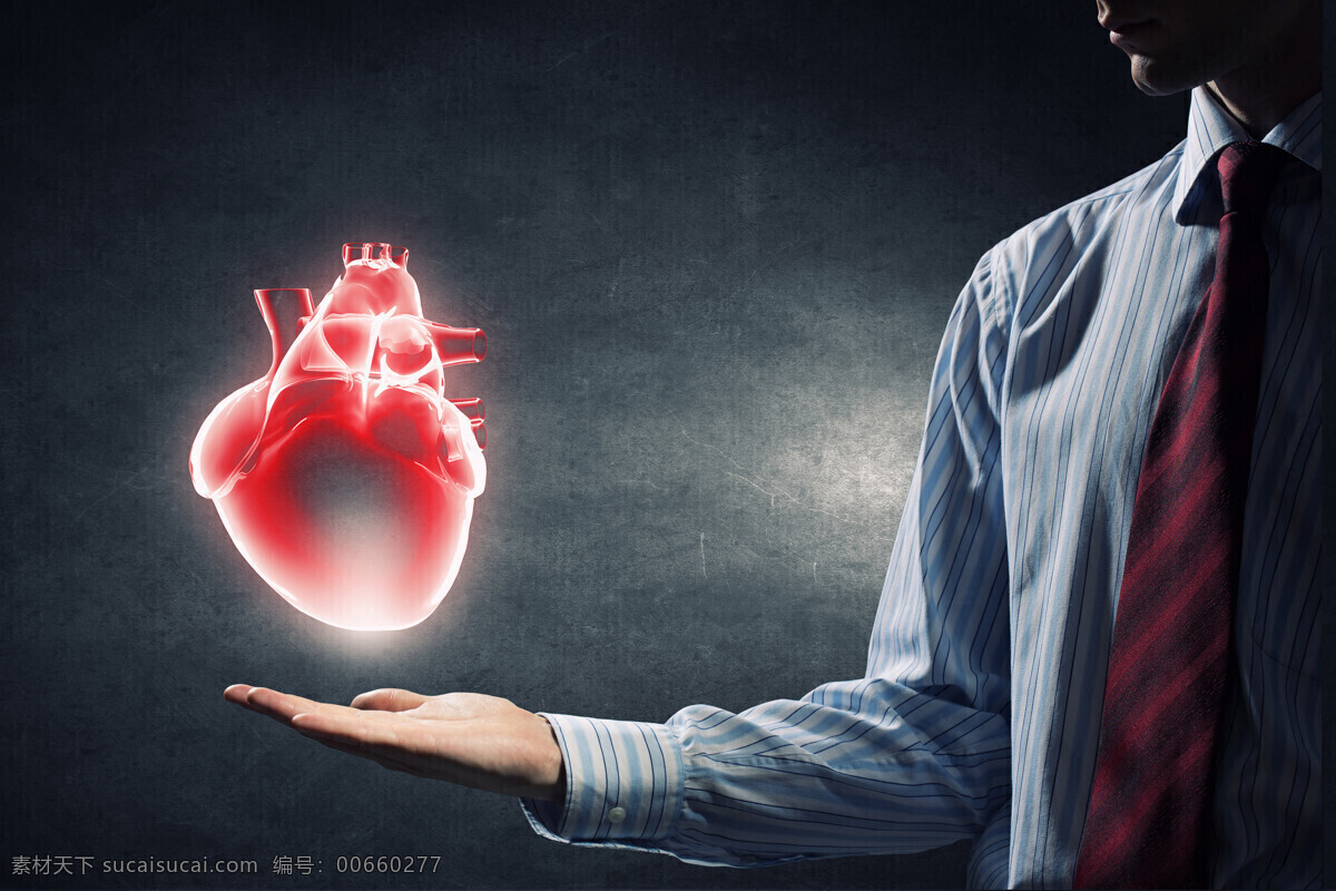 创意心脏手势 商务人士 手势 托着心脏模型 医疗主题 科技信息 内脏 人体器官 人体解剖 现代科技 医疗护理