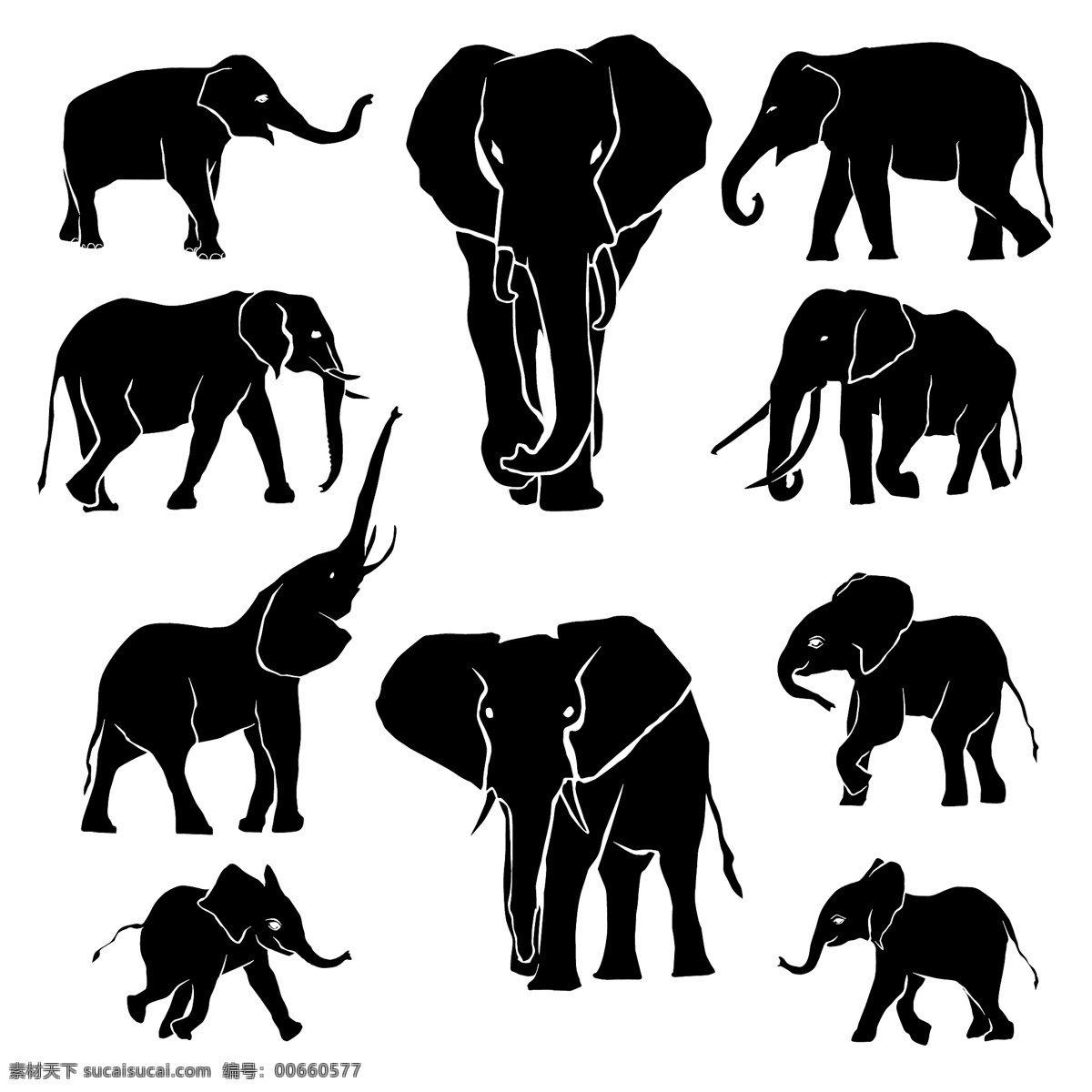 大象剪影 动物剪影 动物世界 卡通动物 漫画动物 陆地动物 生物世界