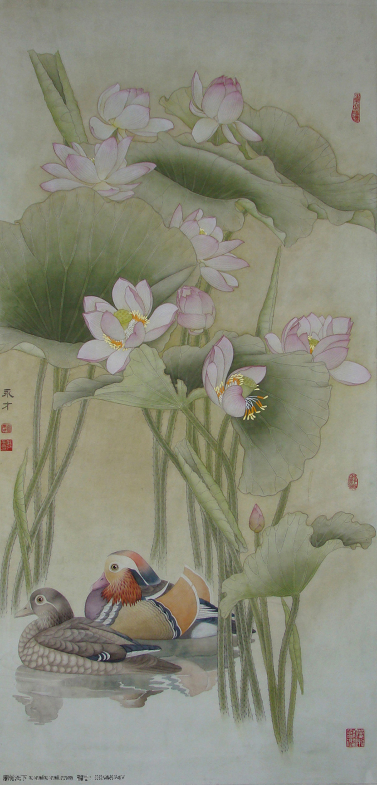 藕花深处 白莲 荷叶 池塘 鸳鸯 禽鸟 花卉 古典 国画 工笔 花鸟 绘画书法 文化艺术