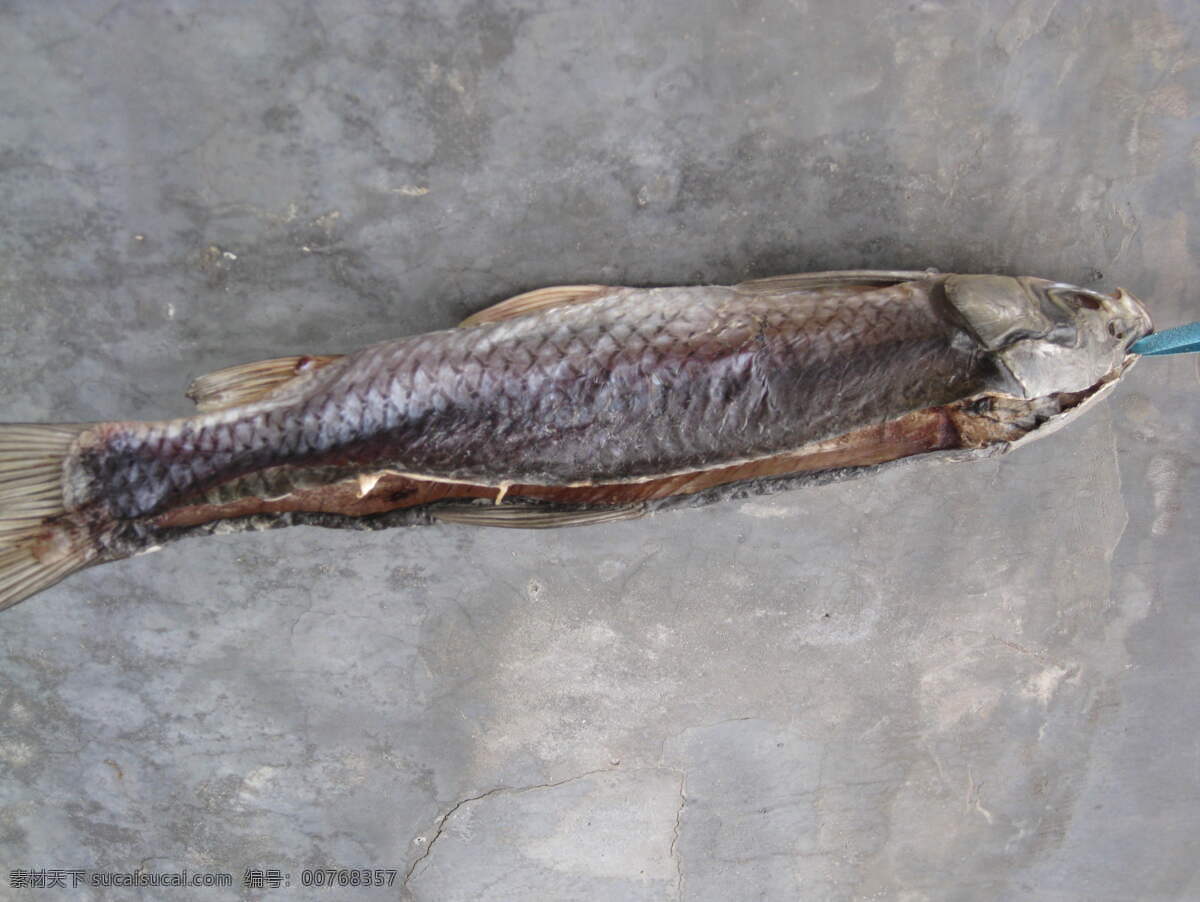 干鱼免费下载 年年有鱼 摄影图 生活素材 生物 生物世界 鱼 鱼类 鱼干 干鱼