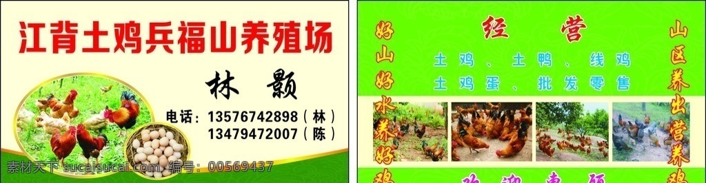 土鸡名片 土鸡 土鸡养殖 土鸡蛋名片 养殖场 名片 卡片 名片卡片