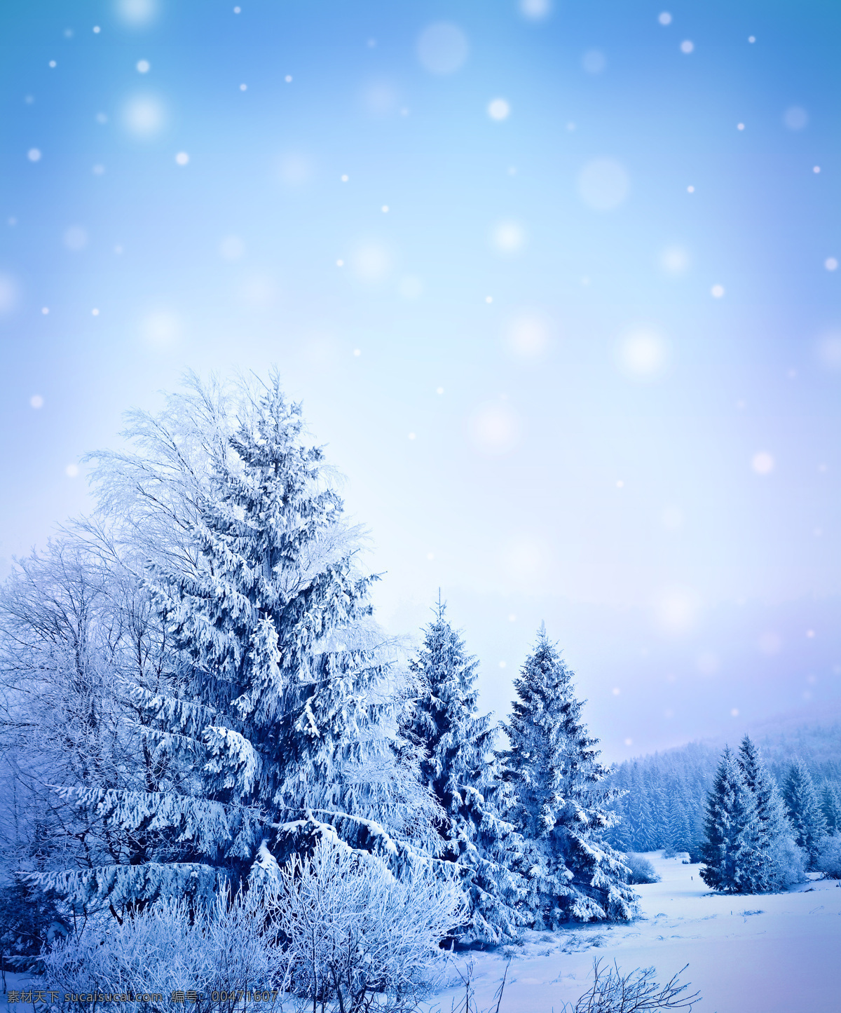 冬天雪景摄影 冬天雪景 雪地 美丽雪景 梦幻背景 自然风景 冬天风景 自然景观 蓝色