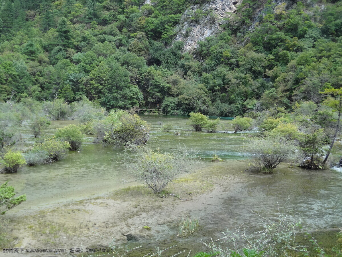 盆景滩 九寨沟风光 四川 九寨沟 火花海 溪流 湖水 青山绿水 树丛 树林 山林 森林 森林公园 生态旅游 山水风景 国内旅游 旅游摄影