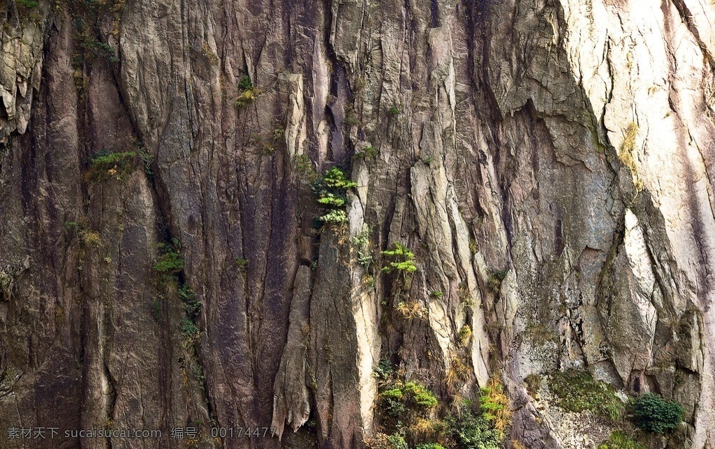 黄山 西海 大峡谷 黄山风景 石头 西海大峡谷 峡谷 树木 自然 风景名胜 自然景观