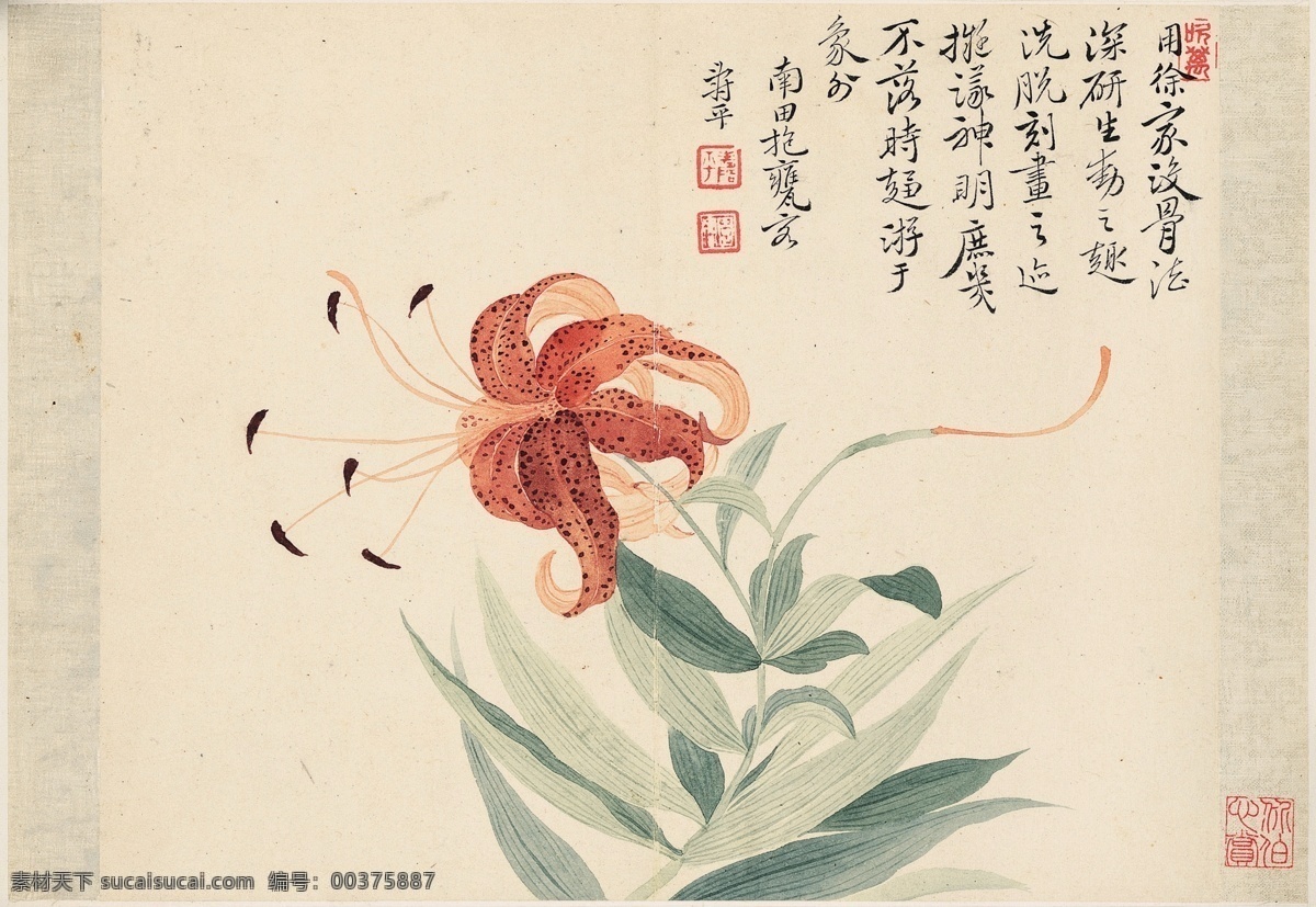清 恽寿平 花卉十开之六 花卉 工笔 国画 文化艺术 绘画书法