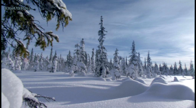 雪原 景观 高清 视频