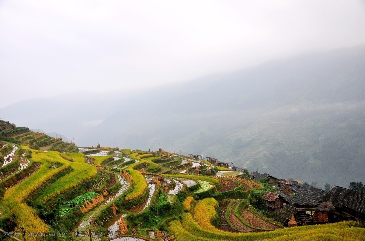 贵州 黔东南 加 榜 梯田 风光 加榜 稻田 旅游摄影 自然景观 田园风光