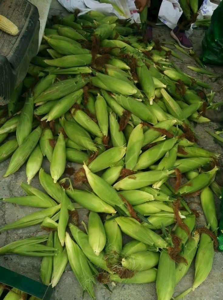 水果玉米 水果 玉米 收获 美味 肯德基 农作物 生活百科 生活素材