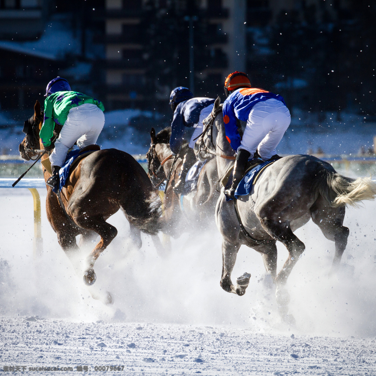 白雪 奔马 奔跑 比赛 动物世界 马年素材 赛马 马 驯马 狂奔 雪地 冬季赛马 生物世界 体育运动 文化艺术 节日素材 2015羊年