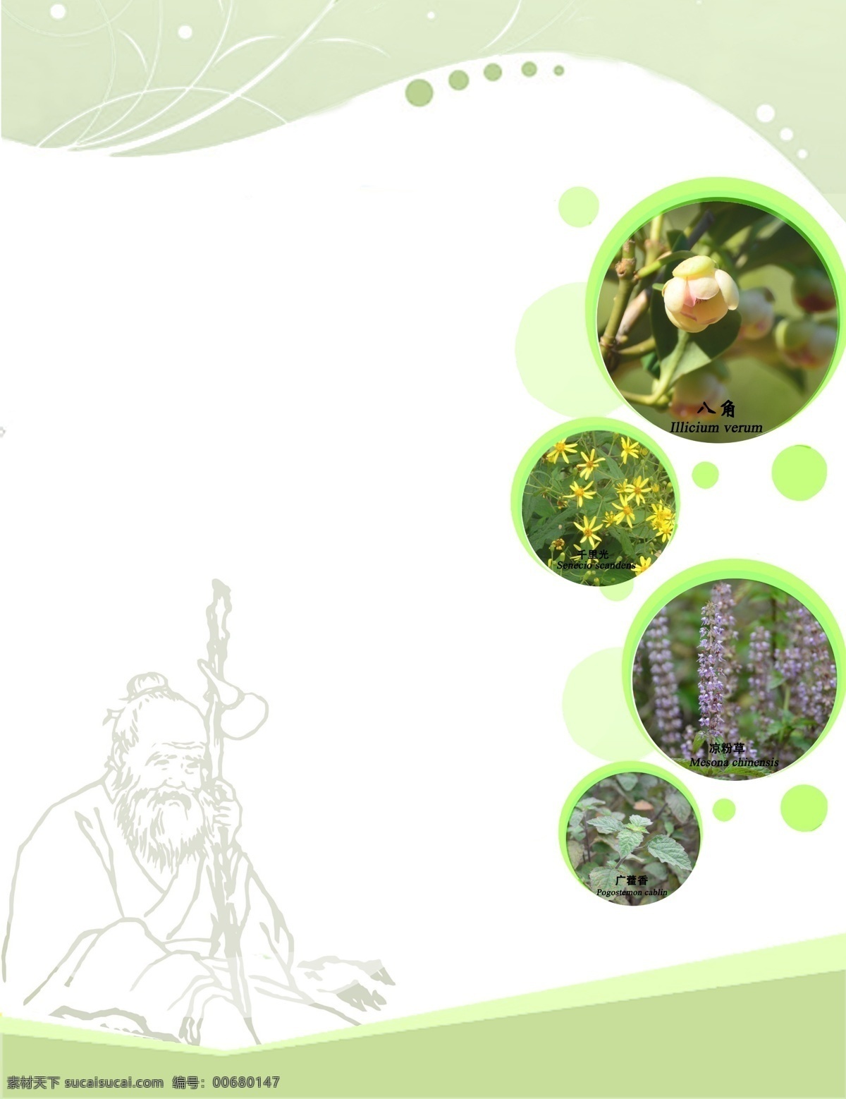 中药海报背景 中药 中草药 中医药 孙思邈 海报 绿色
