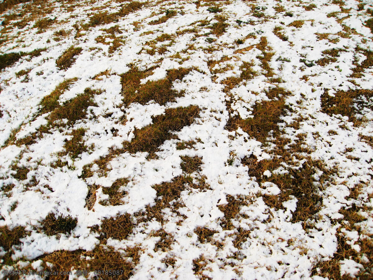 地上小雪 地上 小雪 田园风光 自然景观