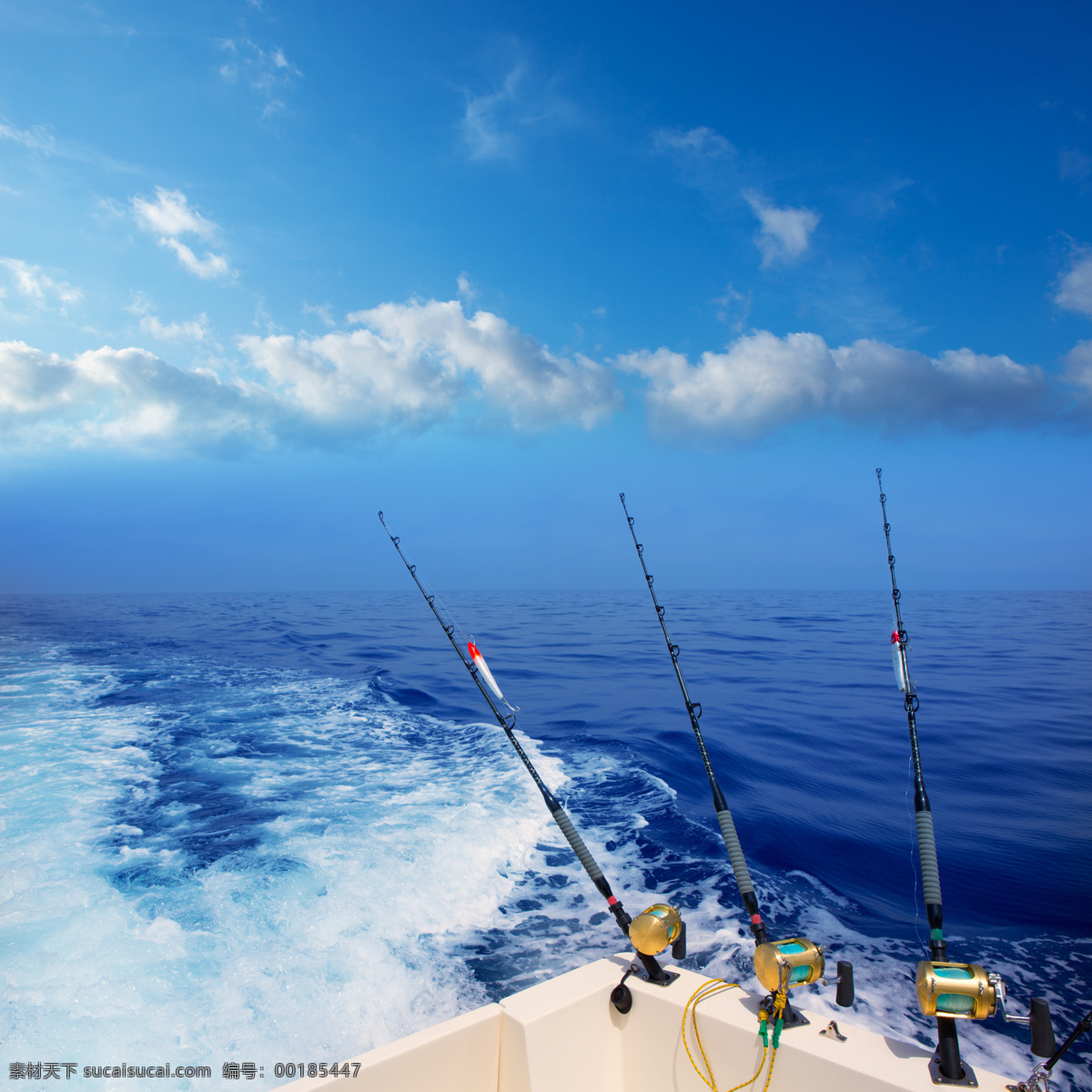 三个 鱼竿 钓鱼 垂钓 鱼 休闲生活 享受生活 高清图片 水中生物 生物世界