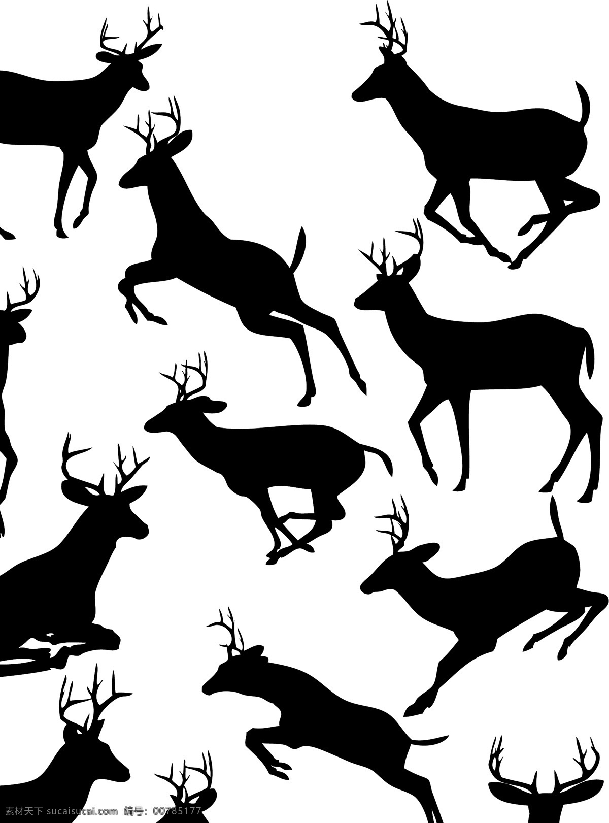 鹿 鹿茸 特写 大自然 梅花鹿 动物 鹿群 野生鹿 保护动物 梅花鹿剪影 平面素材