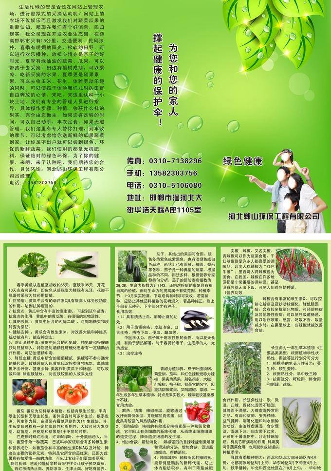 背景 彩页 豆角 番茄 环保 黄瓜 健康 绿色 有机 蔬菜 宣传 清新 树叶 尖椒 青椒 宣传页 茄子 矢量 风景 生活 旅游餐饮