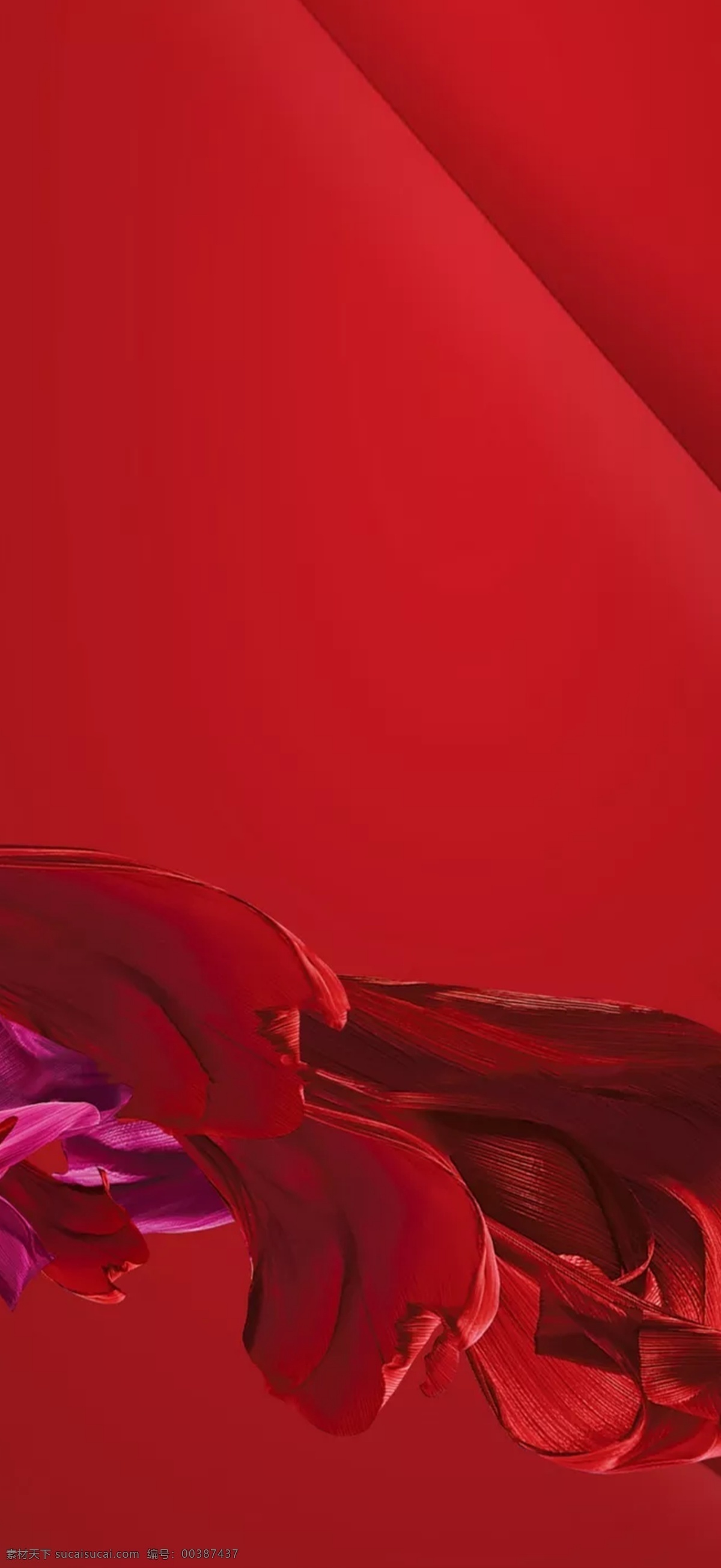 时尚 泼墨 花瓣 质感 红色 背景 红色背景 背景素材 分层