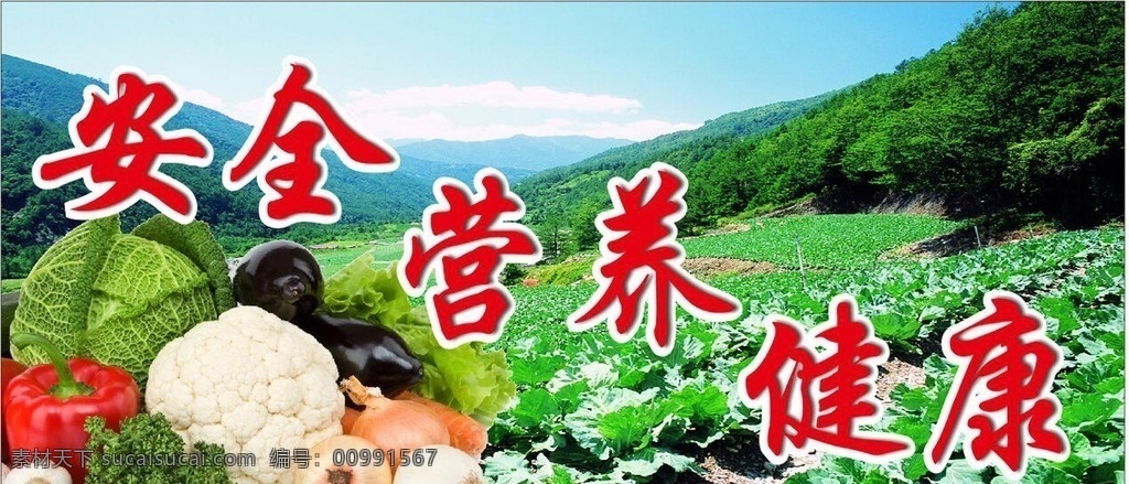 蔬菜水果 安全 健康 蔬菜 水果 营养 环保 土地 菜地 农田 青菜 展板 宣传画