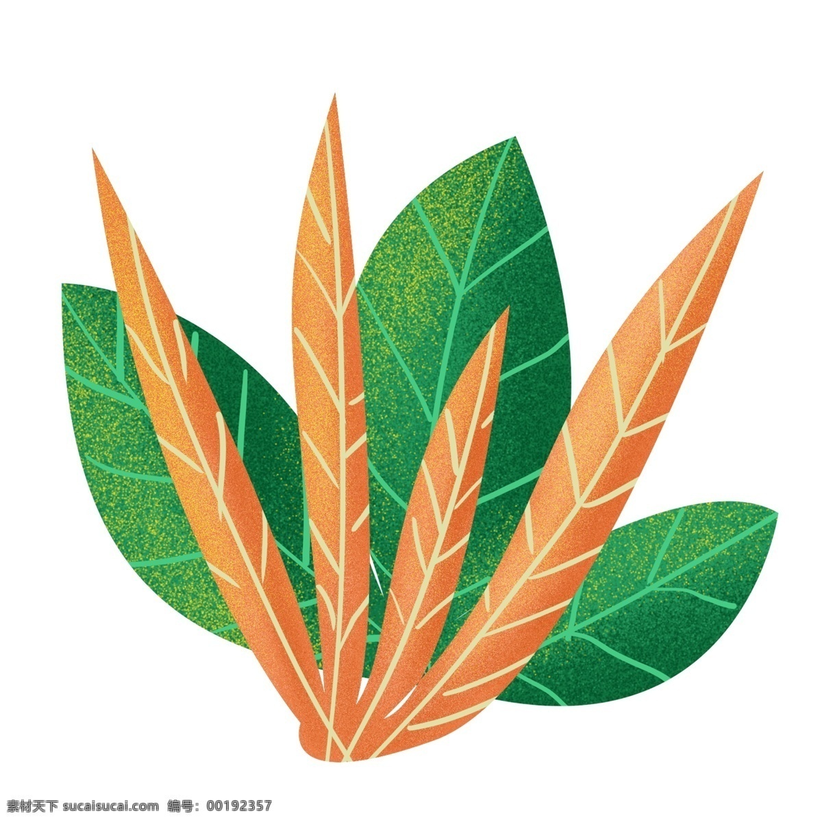 清凉 夏日 手绘 叶子 png元素 装饰图案 免扣素材 透明素材