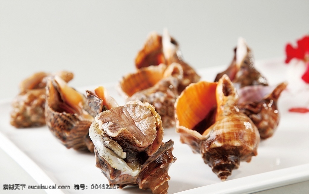 海螺 美食 传统美食 餐饮美食 高清菜谱用图