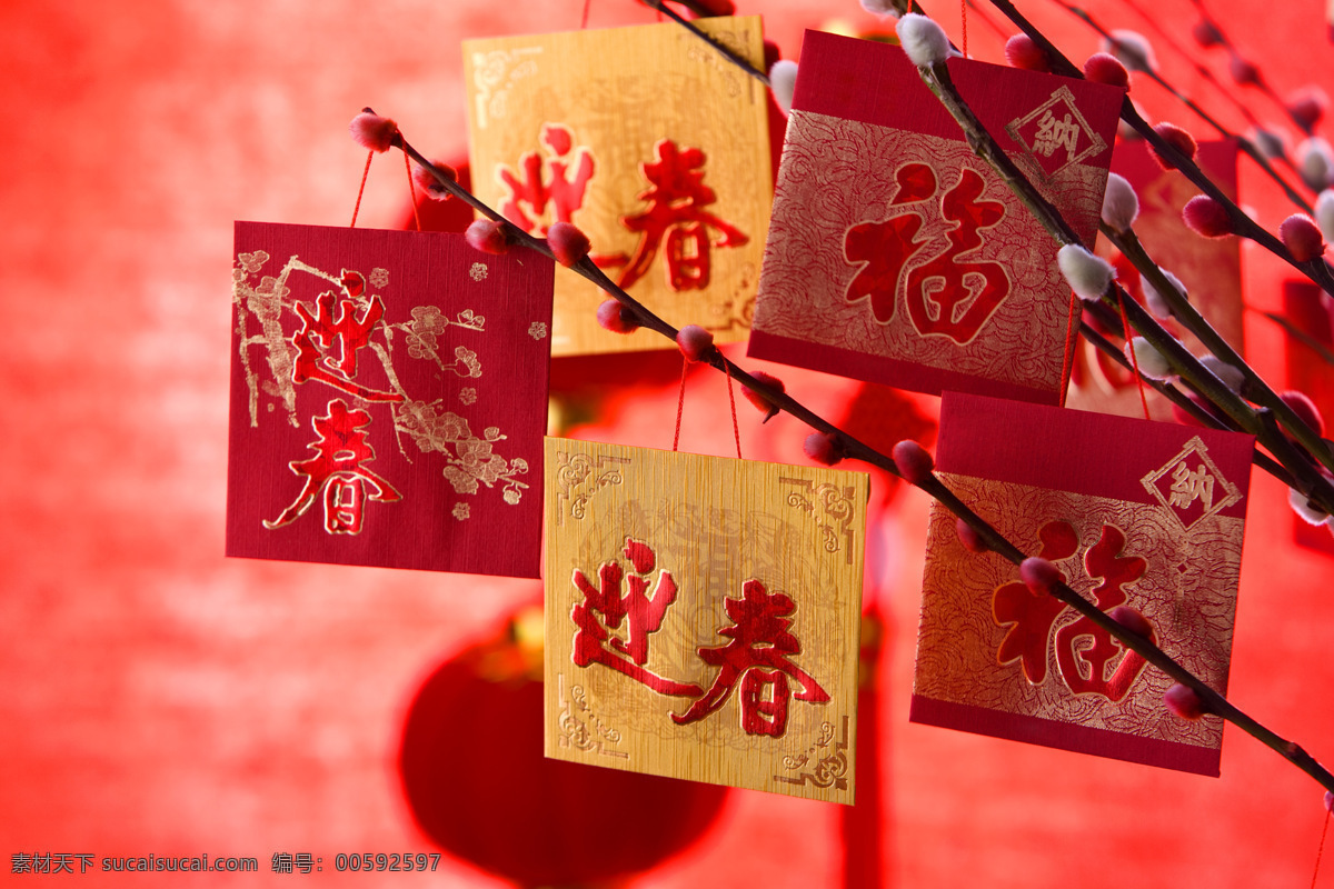 红灯笼 灯笼 过节 春节 喜庆 红色 中国 民俗 福袋 文化艺术 节日庆祝