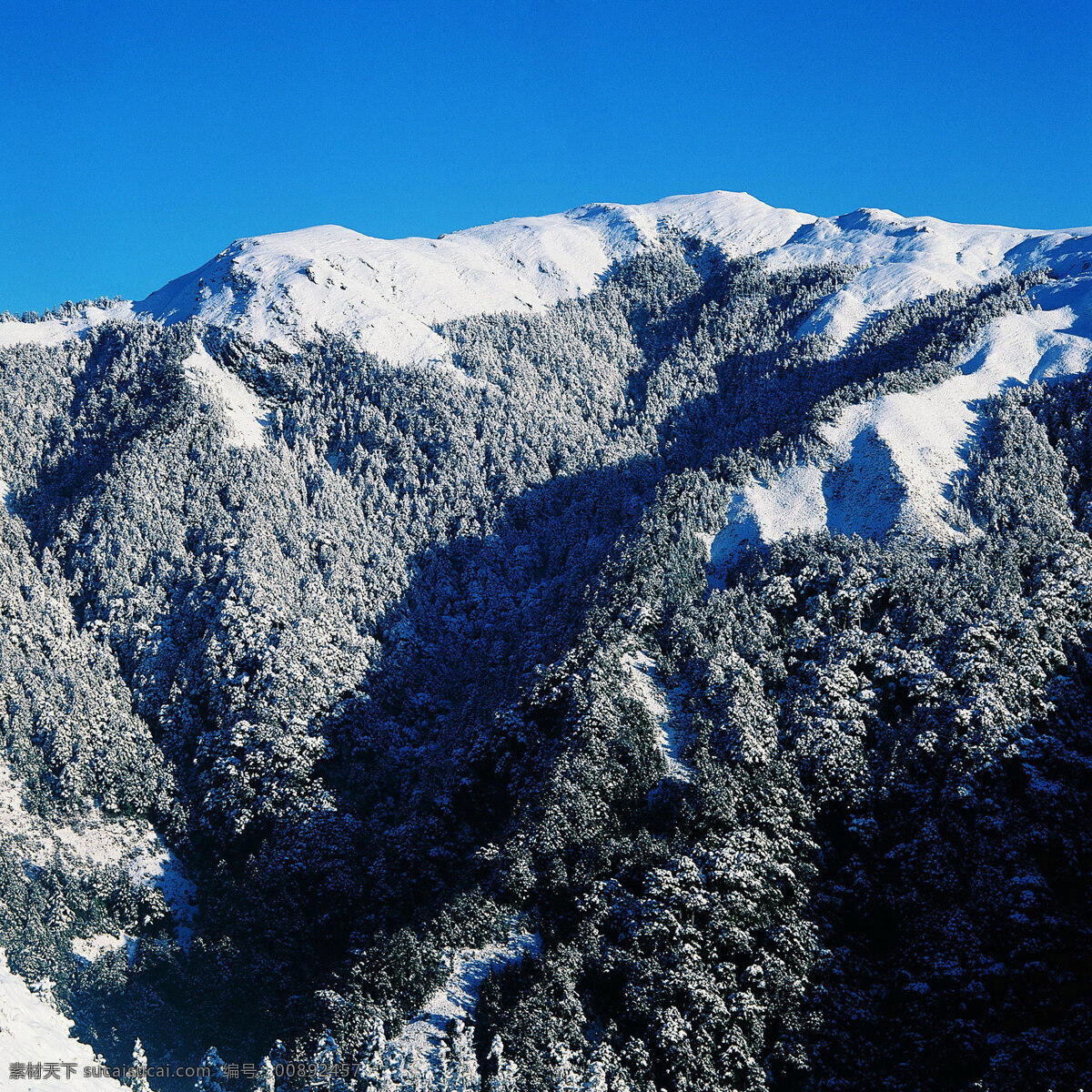 冬天 雪景 背景 冬天雪景 风光 风景 季节 摄影图库 自然 自然风景 自然景观 生活 旅游餐饮