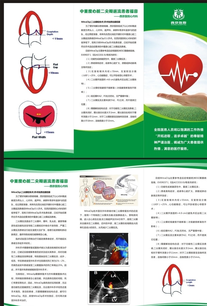 西京医院 三 折页 三折页 单页 心脏 共享 绿色三折页 分层