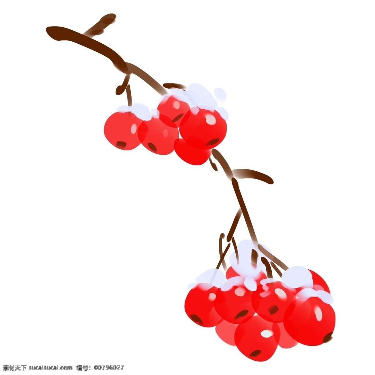落雪 红色 果子 插画 红色的果子 卡通的果子 手绘 装饰 果子插画 漂亮的果子 冬天