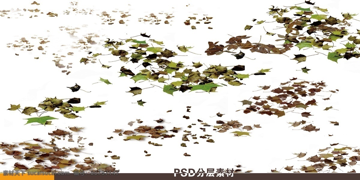 树叶 落叶 枯叶 园林设计素材 园林植物素材 园林规划设计 景观设计 景观 树木 园林 景观树木 绿化 环境设计 植物 鸟瞰图 配景素材 效果图素材 环艺设计 分层 源文件