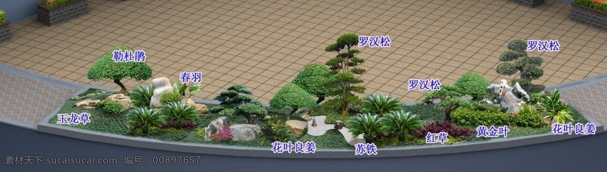 环境设计 玉龙草 园林设计 源文件 路边 绿化 效果图 模板下载 植物配置 置石 石米 罗汉松 装饰素材 园林景观设计