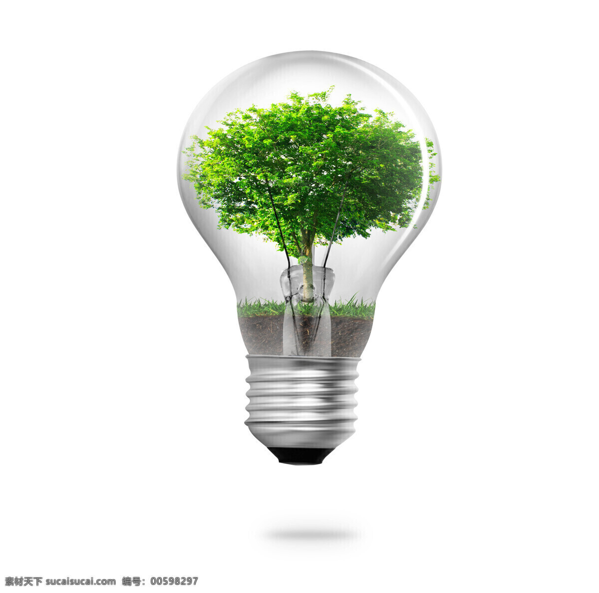 长 灯泡 里 一棵树 树 绿叶 土 草地 家具电器 生活百科