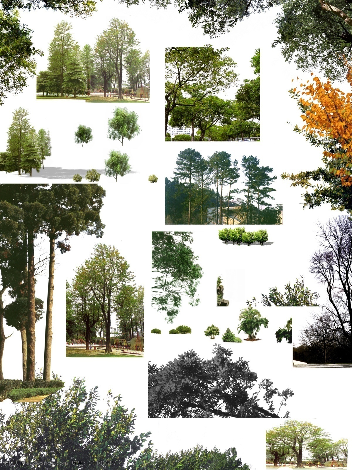 树群和树木 树 树木 树群 多棵 园林 园艺 绿色的树 灌木丛 花坛 分层 环境设计 景观设计 贴图 源文件库