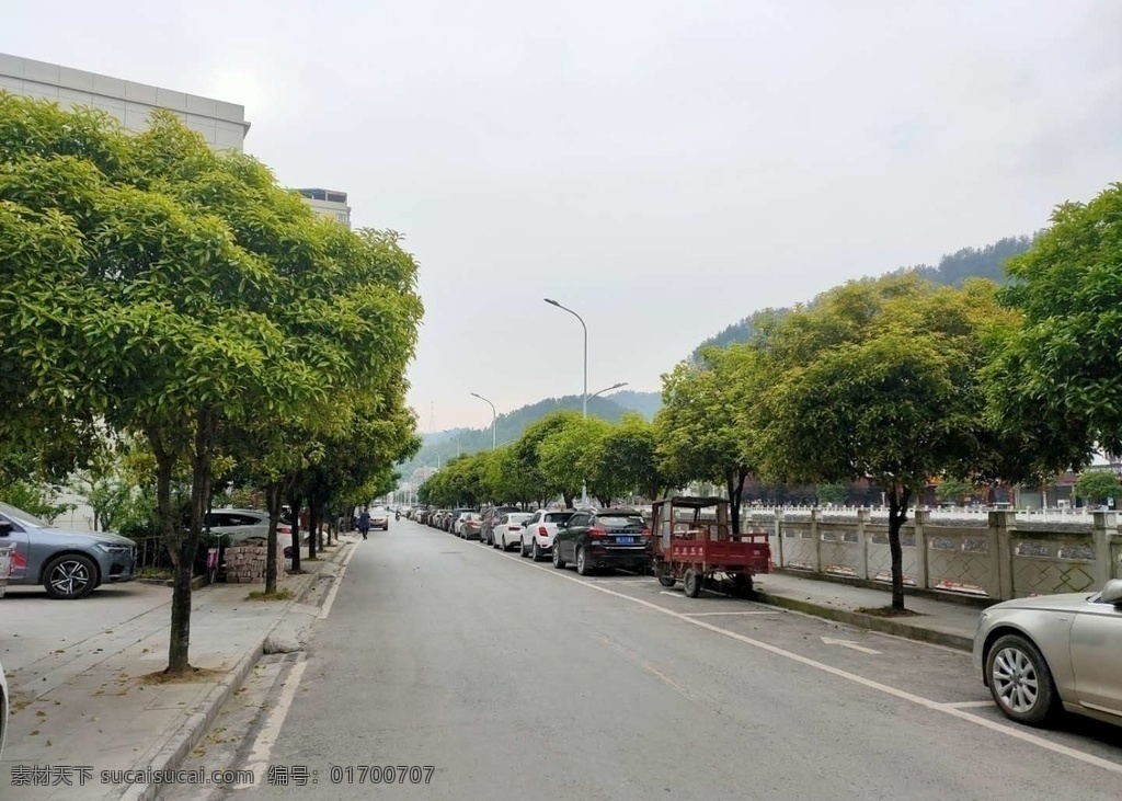 马路边 巷子 胡同 林静 小道 道路 自然景观 山水风景