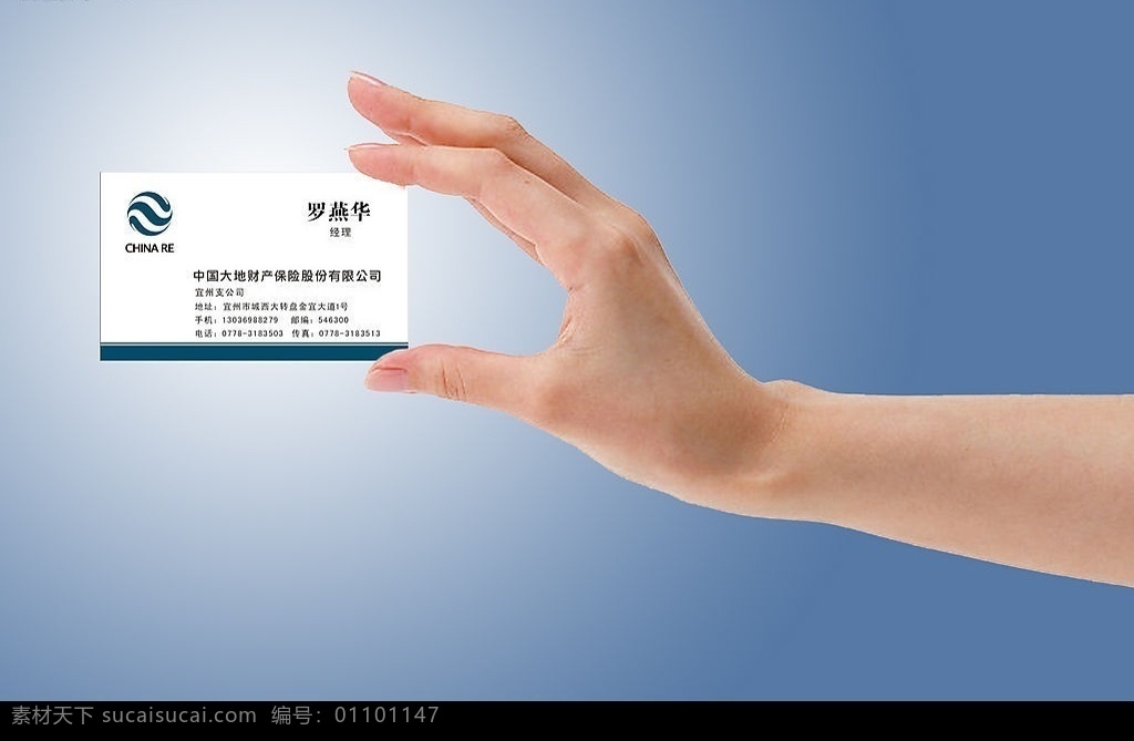 大地 保险 标准 名片 大地保险 标准名片 logo 手 名片卡片 矢量图库