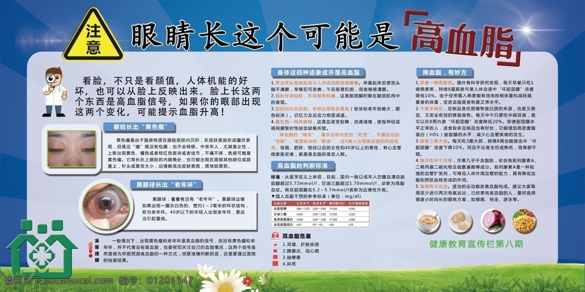 高血脂 健康教育 宣传栏 蓝色