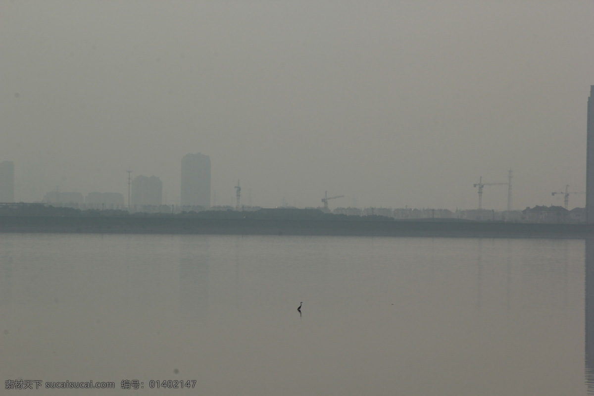 钱塘江 水岸 江岸 建筑群 剪影 白鹭 孤影 雾霾 杭州 杭州景点 自然风景 自然景观