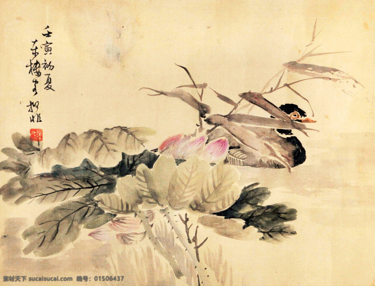 陆抑非 荷花水鸭 荷花 水鸭 水墨画 国画 中国画 传统画 名家 绘画 艺术 文化艺术 绘画书法