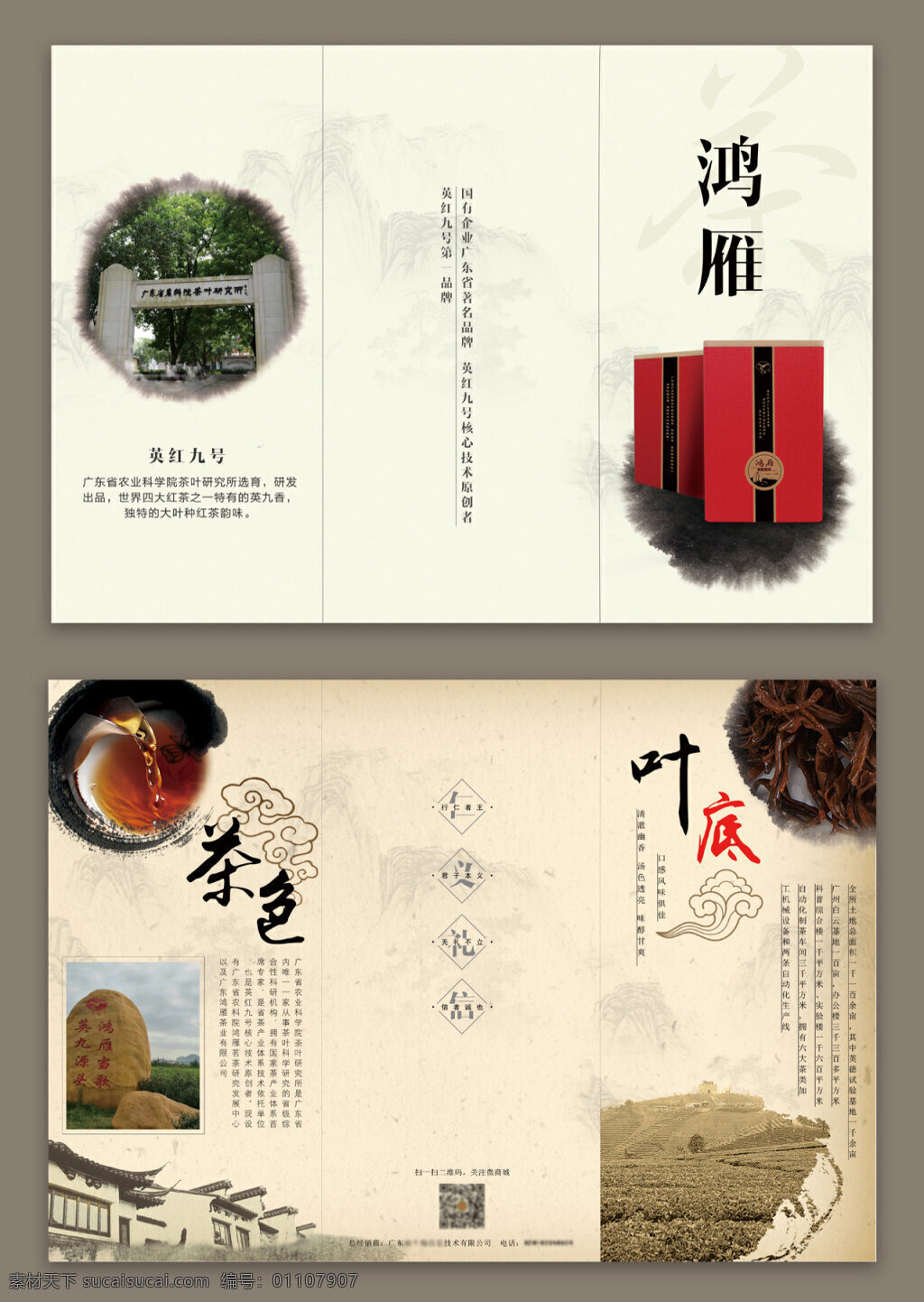 鸿雁 文化 茶 折页 茶折页 宣传折页 广告折页 宣传单