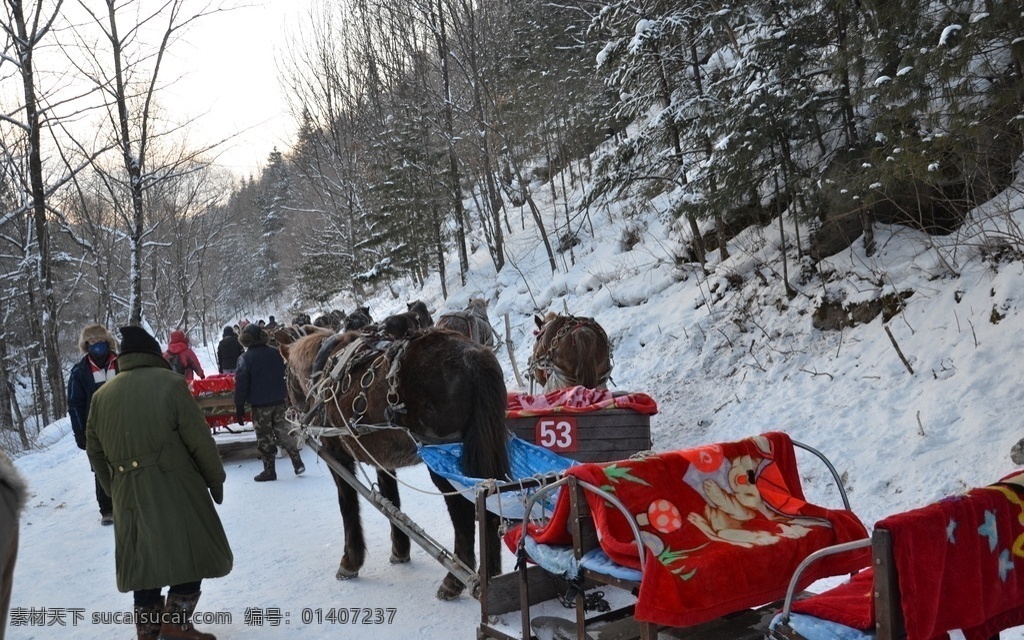雪乡 雪乡风景 中国雪乡 雪乡风光 雪谷 大海林 牡丹江雪乡 东北雪乡 雾凇 风景专辑 旅游摄影 国内旅游
