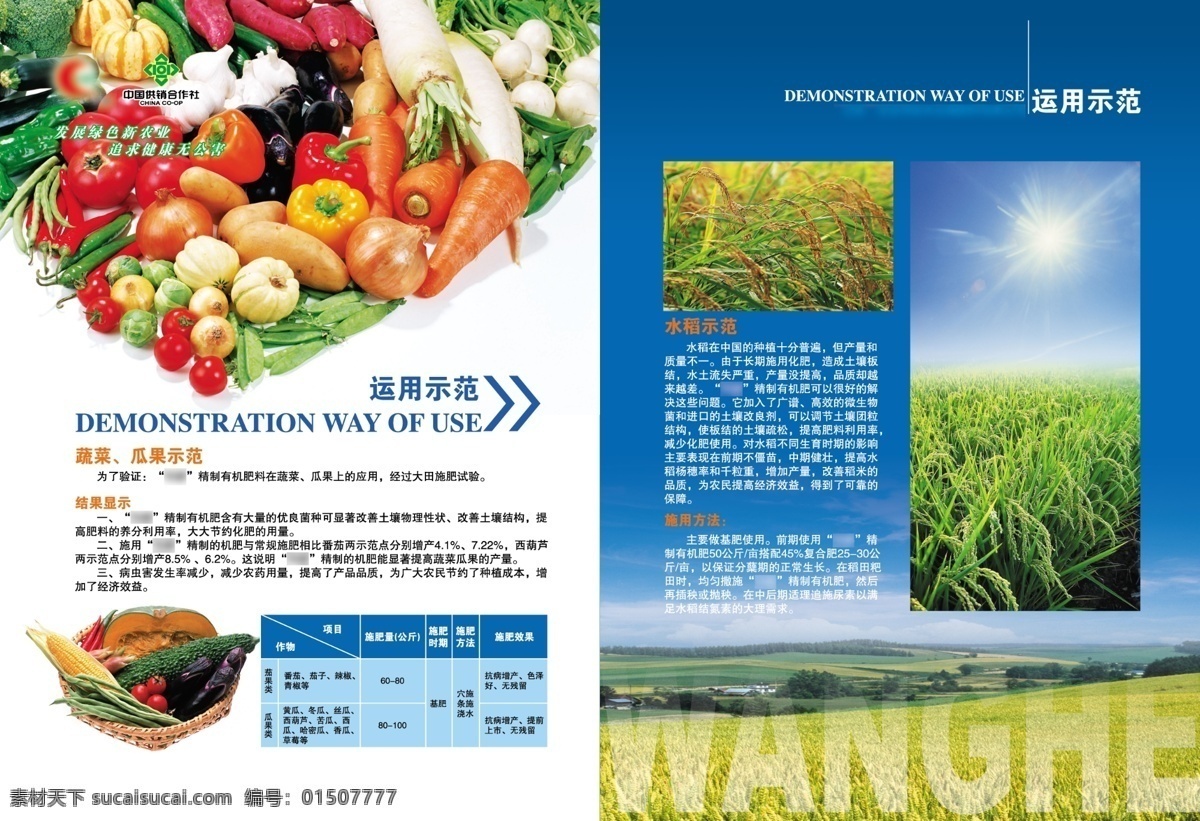 化肥 企业 画册设计 广告设计模板 源文件 化肥行业 蔬菜施肥 其他画册封面
