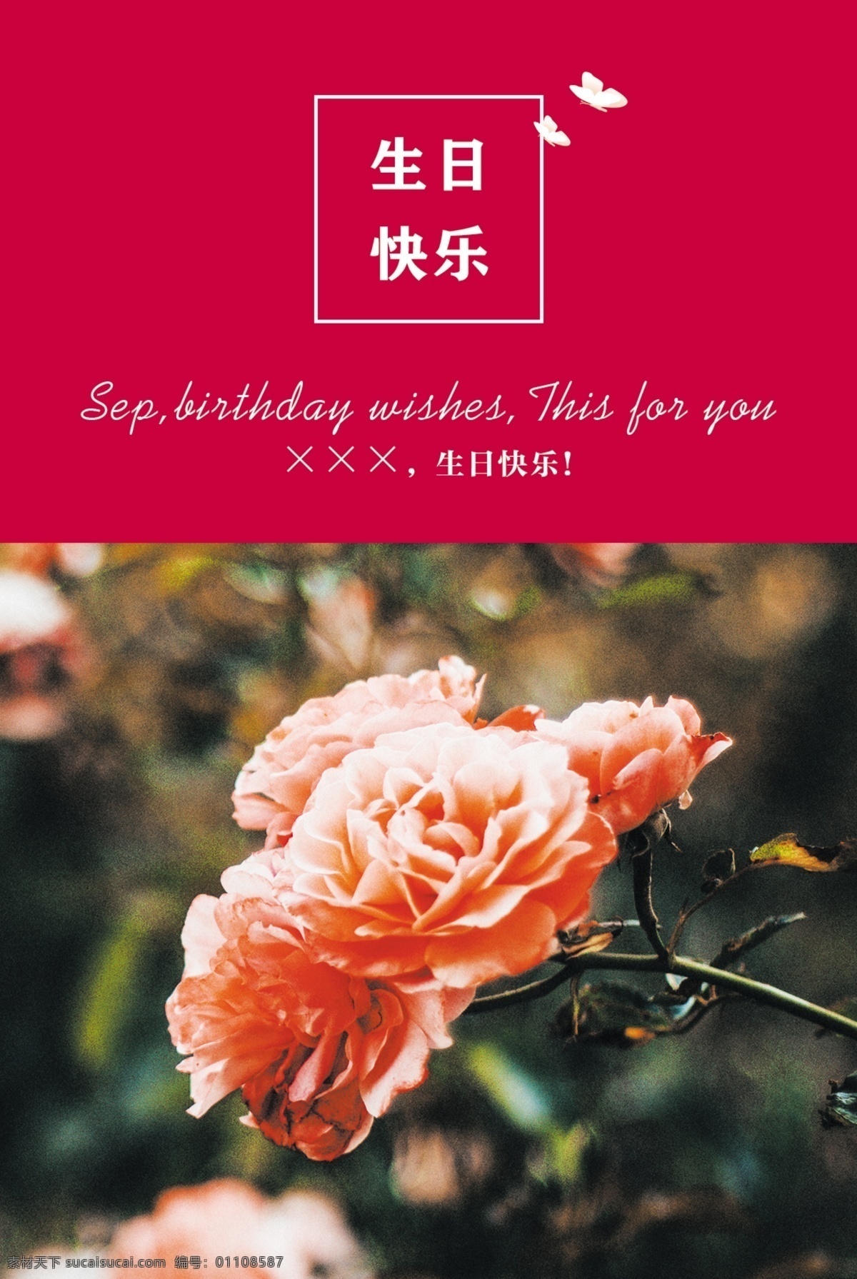 生日贺卡 卡片 明信片 生日 快乐 psd文件 生日快乐 贺卡 卡证