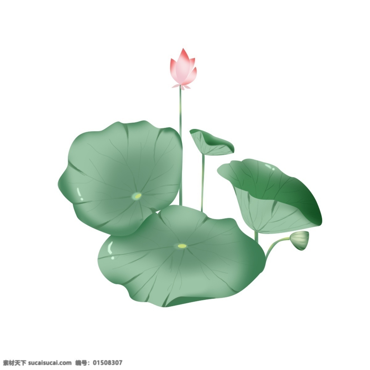 荷花 荷叶 绿色 小清 新手 绘 风 元素 小清新 手绘植物 手绘风 莲蓬