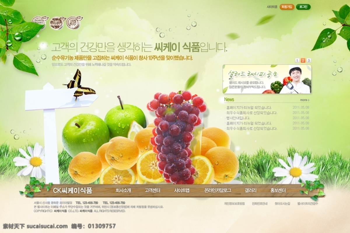 水果 批发 网页 模板 网页模板 网站 网页设计 网页素材