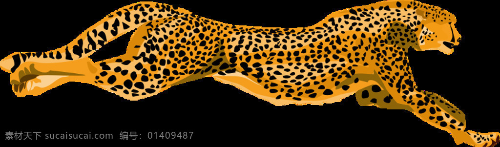 leopardcheetah 动物 颜色 自然 编辑选择 逼真的 插画集