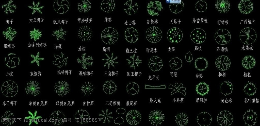 园林树木图库 cad dwg 图纸 平面图 装修 装饰 施工图 立面图 剖面图 绿化带 水池 花架 灯饰 植物 凉亭 木桥 雕塑 鹅卵石 草地 水景 花草 山水 园林景观 景观设计 环境设计 源文件